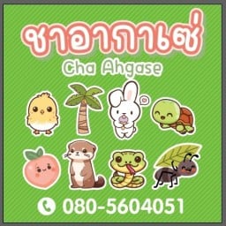 ชาอากาเซ่(ร้านชาหนิคุณเดิม) ท่าซัก(ติดหมู่บ้านศุภาลัยพาร์ควิลล์)