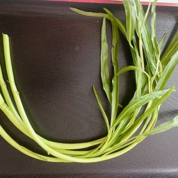 ผักบุ้ง