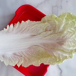 ผักกาดขาว