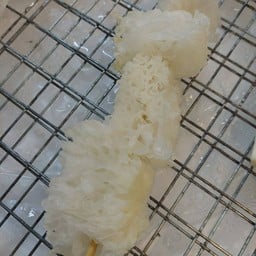 เห็ดขาว