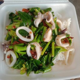 ข้าวคะน้าปลาหมึก(ฟรีไข่ดาว)
