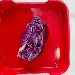 กะหล่ำม่วง