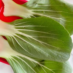 กวางตุ้งฮ่องเต้