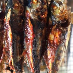 ร้านปลาย่าง ทรงเครื่อง (ฮาลาล) 1