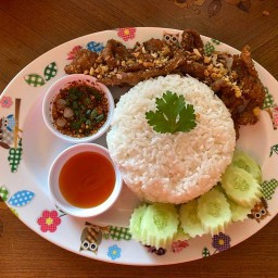 ส.สมานเป็ดย่าง