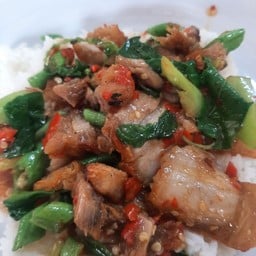 เจ๊เมียด หอยทอด ผัดไท อาหารตามสั่ง