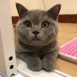 น้องบิวตี้