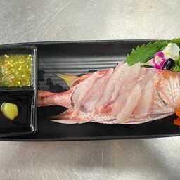 กระรอกแดงซาซิมิ