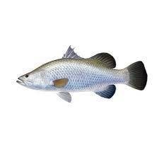 Paknam Coffee2 Paknam Coffee 2