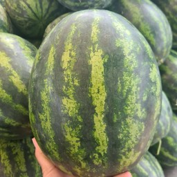 เเตงโมซอนญ่า เเดงแปร๊ดหวานเจี๊ยบ