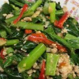 ผัดคะน้า  ไก่  นำ้มันหอย  ราดข้าว