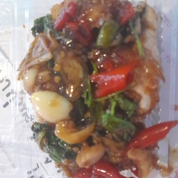 ผัดกะเพราราดข้าว