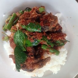 กะเพราน้องปาล์ม