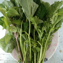 ผักสด