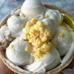 ไอศกรีม กะทิ มะพร้าวอ่อน