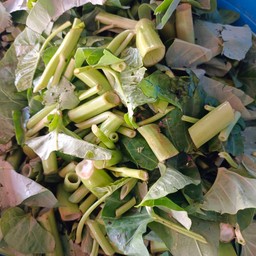 ผักบุ้งลวก