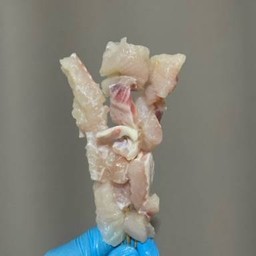 ดอลลี่ทีเด็ด