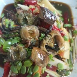 ตำปูดองกุ้งสด