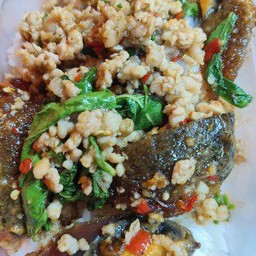 ผัดกระเพราไข่เยี่ยวม้าราดข้าว