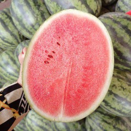 แตงโม ซัลญ่า 1 ลูก