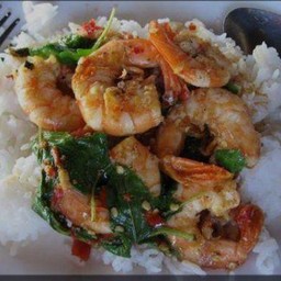 กะเพรากุ้ง