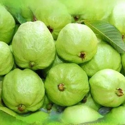 ฝรั่งกิมจู กิโลละ