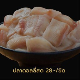 ปลาดอลลี่