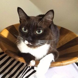 Hungry Place ชานมไข่มุก ของทอด และเบเกอรี่