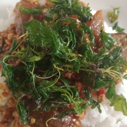 ข้าวผัดกระเพราหมูสับไข่เยี่ยวม้า