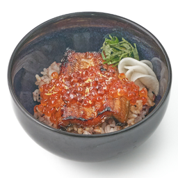 Unagi Kabayaki