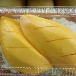 กุ้งอบวุ้นเส้น ครัวบ้านป้อม ไม่มีสาขา
