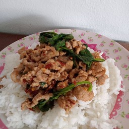 ผัดหมูสับโหระพาราดข้าว