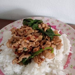 ผัดหมูชิ้นโหระพาราดข้าว