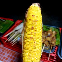 ข้าวโพดปิ้ง