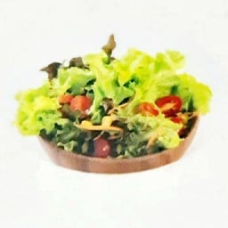 ผักสลัด