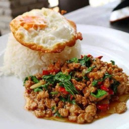 กะเพราหมูสับแถมฟรีไข่ดาวโคตรอร่อยย รามคำแหง174