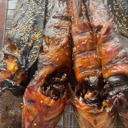 ปลาดุกย่าง