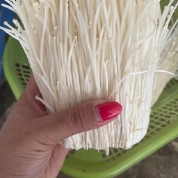 เพิ่มเห็ดเข็มทอง