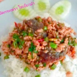 ไข่เยี่ยวม้้า ผัดกระเพรา ราดข้าว