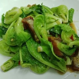ผัดผักแขนงน้ำมันหอย