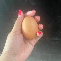 เพิ่มไข่ไก่