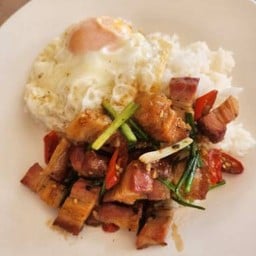 ข้าวหมูกรอบผัดพริกเกลือ