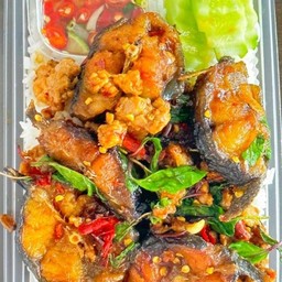 ข้าวกระเพราปลาดุกทอด+หมูสับ