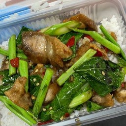 คะน้าหมูกรอบราดข้าว