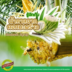 น้ำดอกมะพร้าว