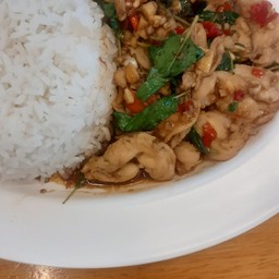 ผัดกระเพราไก่ราดข้าว+ไข่ดาว