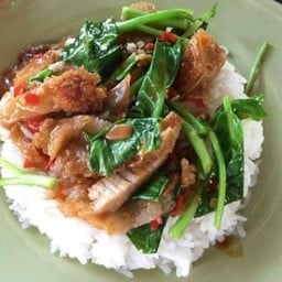 ปลาหมึกย่างสตรีวิทยา 2