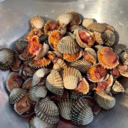 หอยแครงลวกจิ้ม