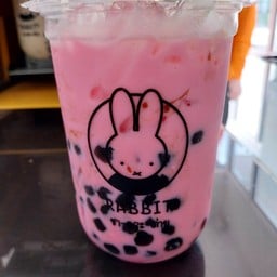 ชากระต่าย