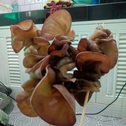 เห็ดหูหนู